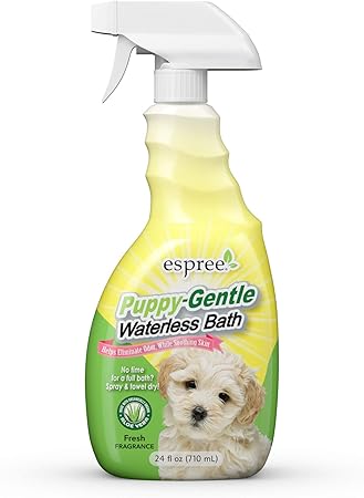 ukc beagle classifieds