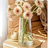 FUNSOBA Moden Trapezoid Glass Vase with Gold Mouth for Centerpieces Home Wedding Decoration (1, Small 4.7" x 8.7")