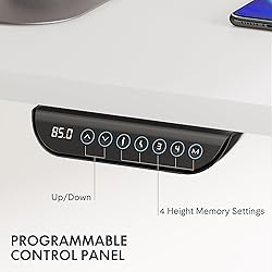 FLEXISPOT E6 Dual Motor 3 Stages Standing Desk