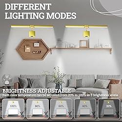 Picture Light with Remote, 18inch Wireless