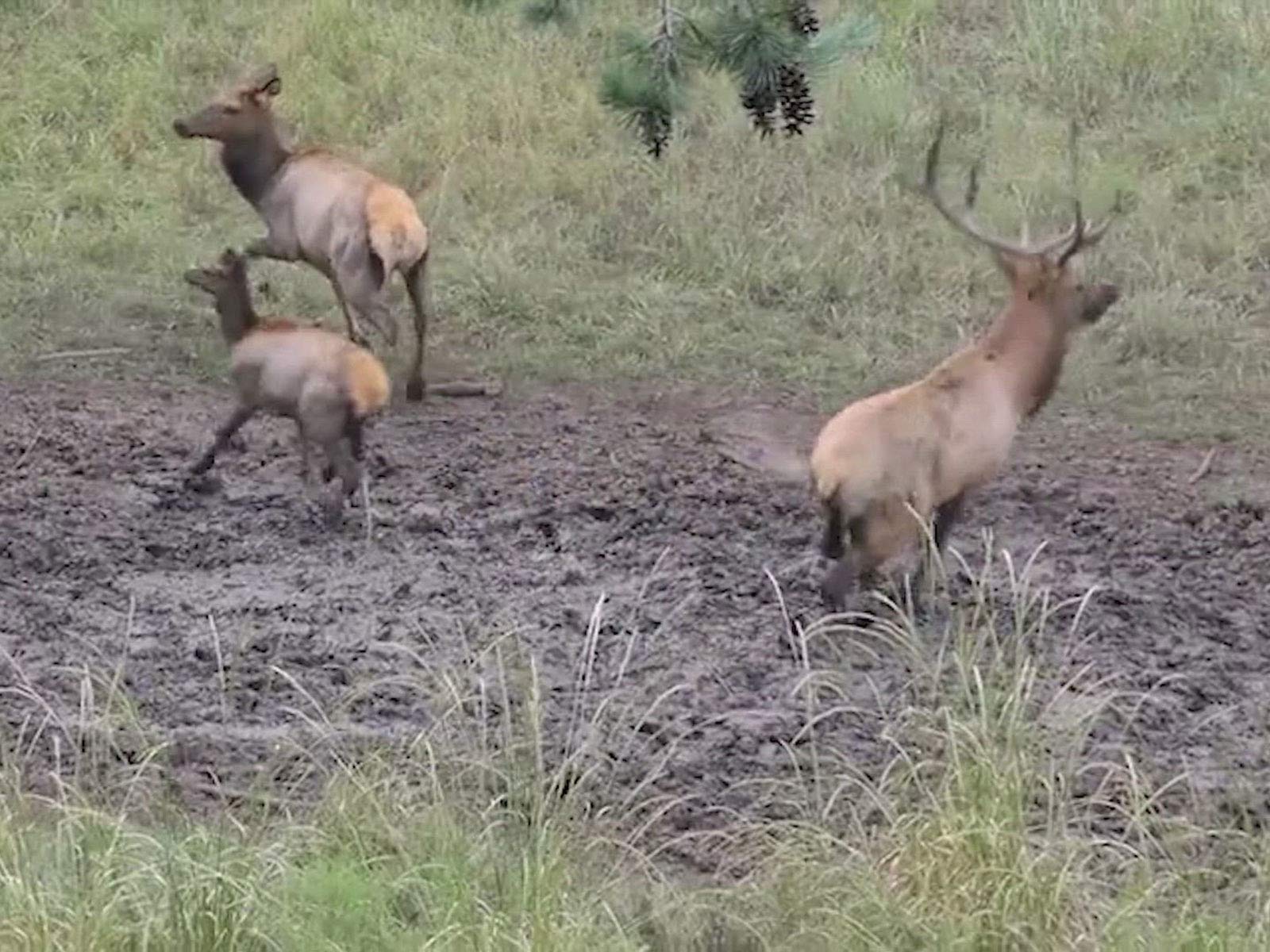 Watch Prime Revolution - Season 1 | Prime Video