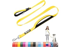 TSPRO Hands Free Dog Leash Adjustable Walking Running Dog Leash with Control Safety Padded Handle and Heavy Duty Clasp for Medium Large Dogs (Yellow)
