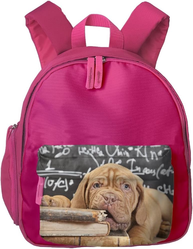 miniature french mastiff