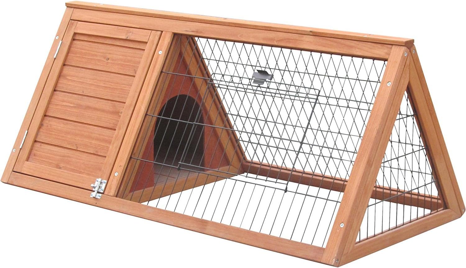 miniature english goldendoodle