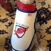 Small pet door Small pet door