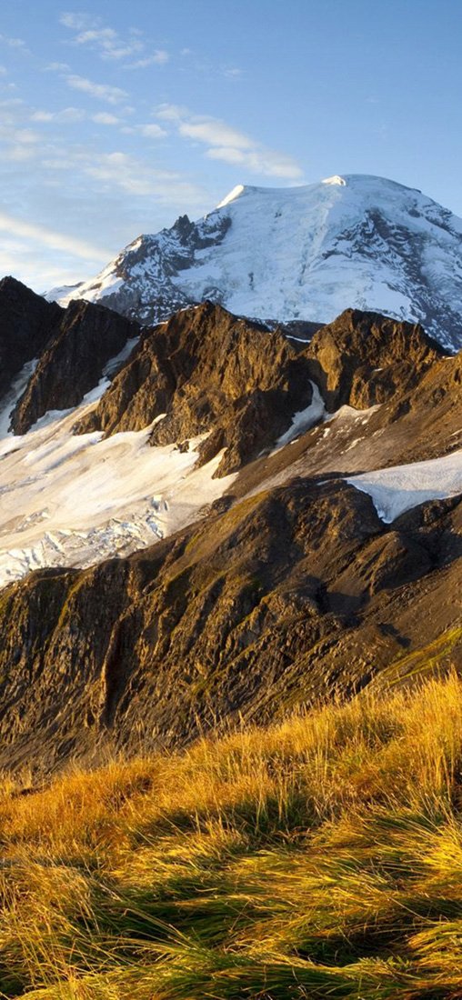 PeelitStickit, Beautiful Nature Wall Murals, ID-2797, vinyl