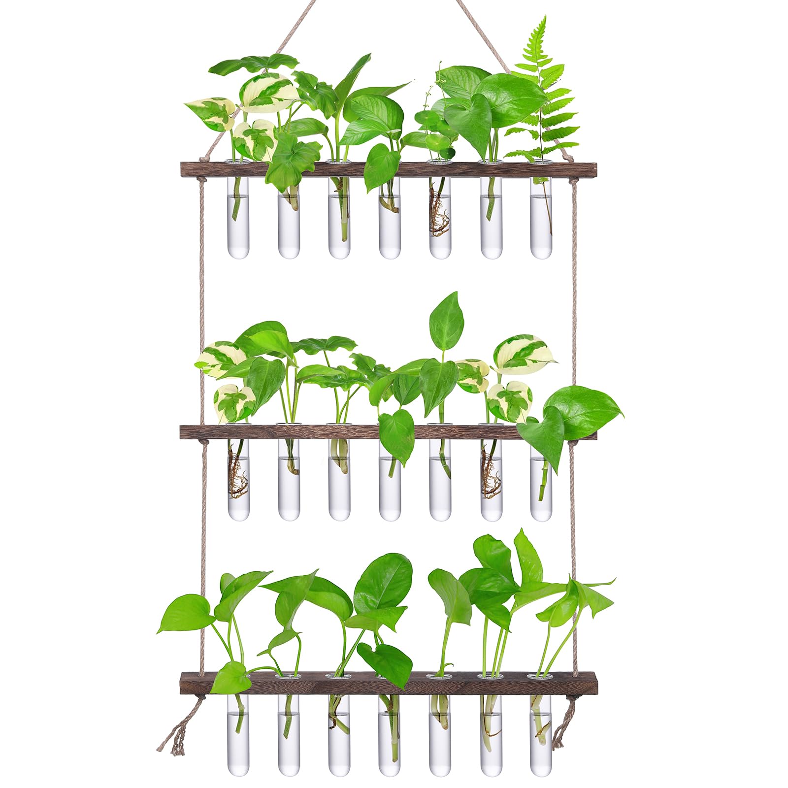 XXXFLOWER Wall Hanging Propagation Station with 3 Tiered Wooden Stand 21 Test Tubes Plant Holder Hydroponic Plants Terrarium Plant Lover Gifts Indoor Garden Decor
