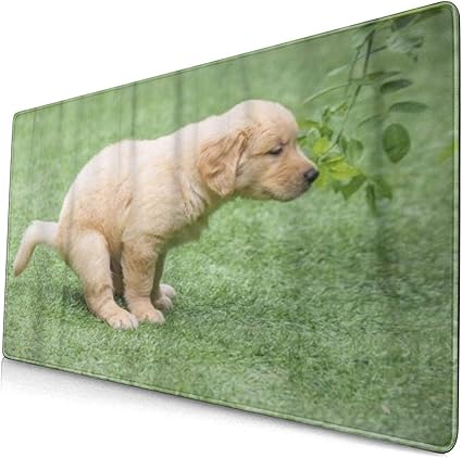 Amazon Kimdface 大型 マウスパッド 犬かわいいゴールデンレトリバー子犬うんち愛らしい動物アーチ犬のカブ 個性的 おしゃれ 柔軟 かわいい ゲーミングマウスパッド Pc ノートパソコン オフィス用 デスクマット 滑り止め 特大 マウスマット Kimdface マウスパッド 通販 Amazon Kimdface 大型 マウスパッド 犬かわいいゴールデンレトリバー子犬うんち愛らしい動物アーチ犬のカブ 個性的 おしゃれ 柔軟 かわいい ゲーミングマウスパッド Pc ノートパソコン オフィス用 デスクマット 滑り止め 特大 マウスマット Kimdface マウスパッド 通販