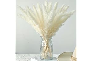 EEAIVNM 30PCS Small Pampas Grass Dried Flowers Dried Natural Floral Arrangement Decoration Reed Dried Grass,Eternal Flower Pampas Reed Dried Grass Used for Home,Wedding,Party,Flower Bouquet,Photo (White)