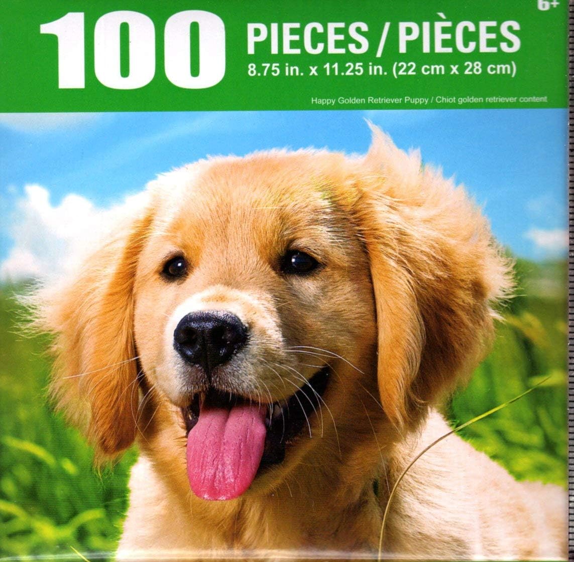 happy golden retriever puppy