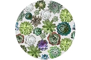 ANDRÉAS Andreas Silicone Non-Slip 6.25" Jar Opener, Easy Lid Opener, Made with Silicone and Fabric, Dishwasher Safe, Garlic Peeler, Succulents, 6.25 inch