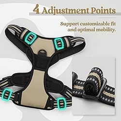 rabbitgoo Dog Harness No Pull with 2 Leash