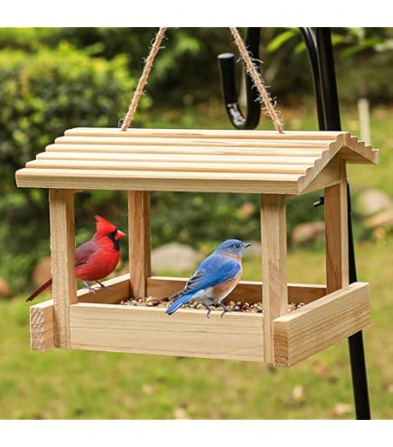 1 Gallon Plastic Poultry Waterer Jar - Shopic