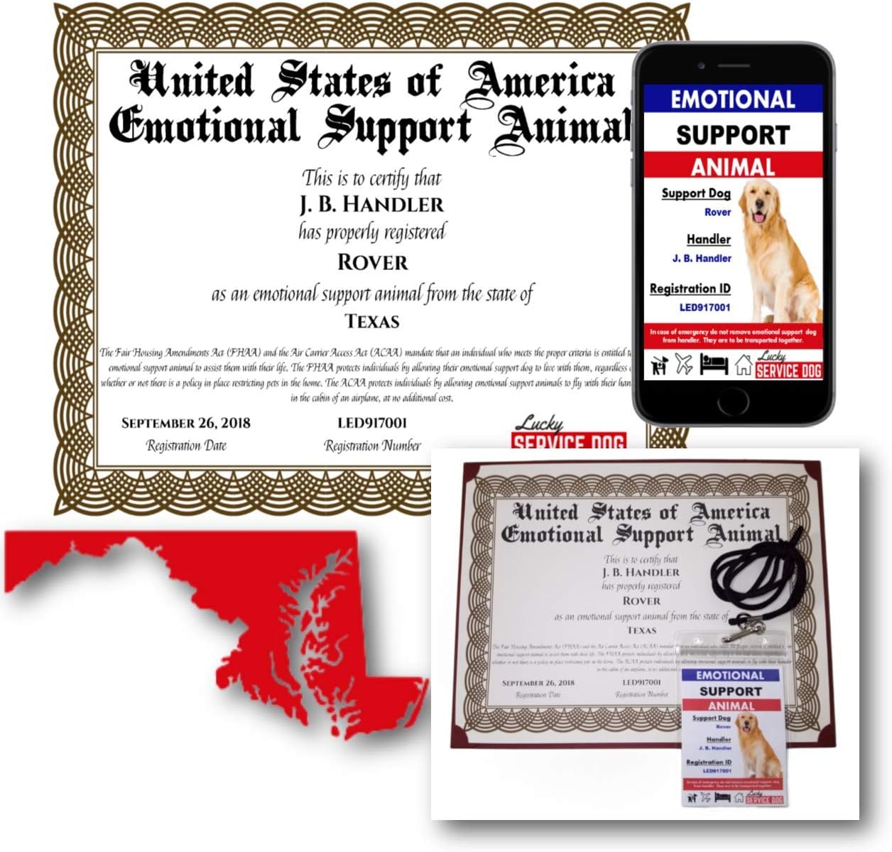 cats meow toy pets at home