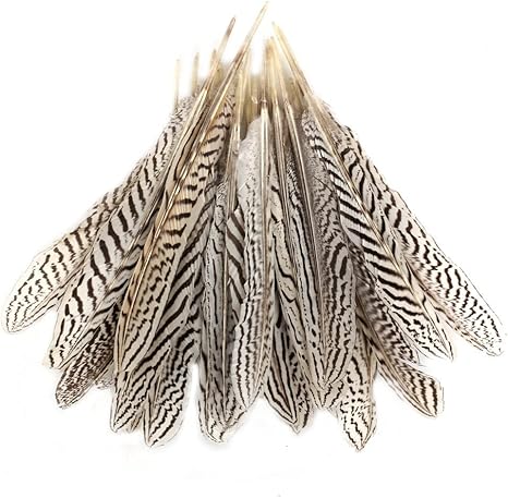 Amazon Co Jp Very100 装飾用の羽根 鶏羽 銀鶏羽 アクセサリー 羽根 手芸材料 パーツ 羽飾り フェザー手芸ハンドメイド 40本入り ホーム キッチン