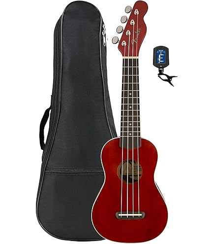 ハイクオリティーukulele☆UK-2500(ケース付き） Amazon.co.jp: AlaMoana アラモアナ ウクレレ UK-2500 (ハード