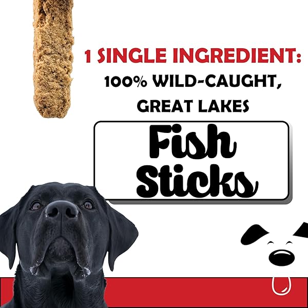 WINNI TREATS FREEZE DRIED FISH STICKS FOR DOGS – SINGLE INGREDIENT, PRESERVATIVE-FREE, PREMIUM WILD-CAUGHT, GREAT LAKES CISCO FISH, HIGH IN PROTEIN, OMEGA 3, LOW FAT, FISH TREATS FOR DOGS (3 OUNCES)