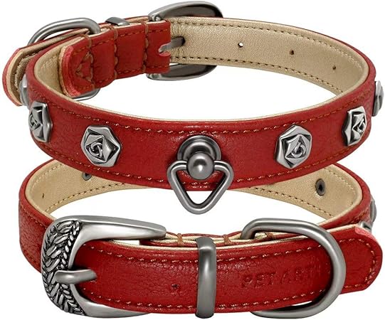 studded dog collars for small dogs