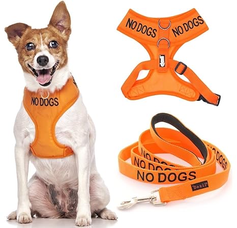 nervous dog harness