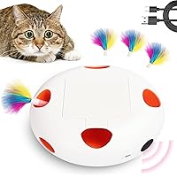 LOiold Cat Toy 4in1 Indoor Automatic Interactive Toy for Kittens, Fluttering Butterfly, Moving Feather, Track Balls, USB Powe