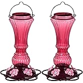 Beserie Hummingbird Feeder for Outdoors Plastic Humming Bird Nectar Feeders with 5 Flower Feeding Ports Hanging for Garden Decor, 20 oz (2 Pack