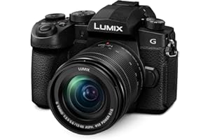 Panasonic LUMIX G95 20.3 Megapixel Mirrorless Camera, 12-60mm F3.5-5.6 Micro Four Thirds Lens, 5-Axis Dual I.S. 2, 4K 24p 30p