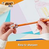 BIC Evolution Colouring Pencils for Kids Pack of 12 Colour Pencils view 4