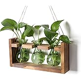 Plant Propagation Station Plant Terrarium Unique Birthday Gifts for Women Home Office Decor Planter with Wooden Stand - 3 Bulb Glass Vase