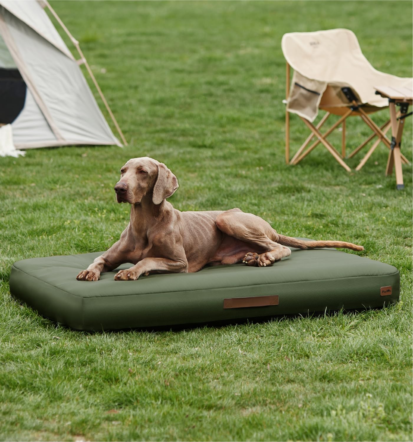 Photo 1 of Made4Pets Outdoor Dog Bed Waterproof Inflatable – Heavy-Duty Self-Inflating Bed for Large Dogs, Rugged Oxford Fabric, Portable & Easy to Clean, Ideal for Camping & Home Use, Green, 48"x30"x4"