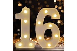DyingSwan Led Numbers, 16th Birthday Decorations, Battery Powered Light Numbers Signs for Sweet 16 Decor Party (Warm White)