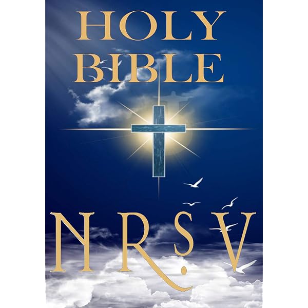 Holy Bible: New Revised Standard Version (NRSV) E-Reader Formatted