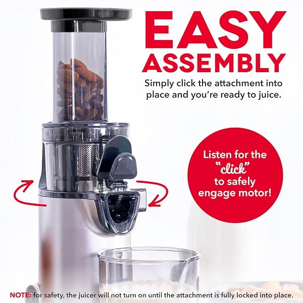 DASH DELUXE COMPACT COLD PRESS JUICER – SLOW MASTICATING JUICER MACHINE FOR FRUITS AND VEGETABLES WITH FROZEN ATTACHMENT – EASY TO CLEAN JUICE PRESS FOR HOME COUNTERTOPS – GRAPHITE