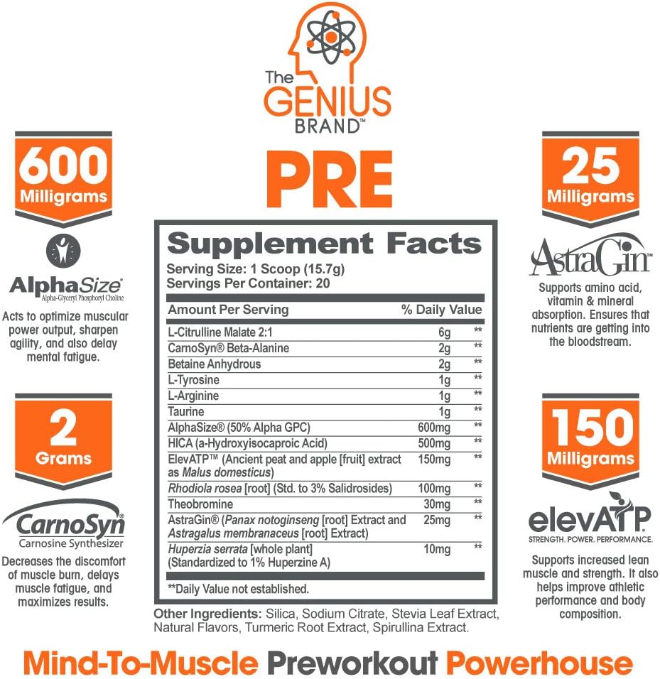 Genius Pre Workout Powder – All Natural Nootropic Preworkout & Caffeine Free Nitric Oxide Booster w/Beta Alanine & Alpha GPC | Boost Focus, Energy & NO | Muscle Builder Supplement – Essential Herbs: Health & Personal Care