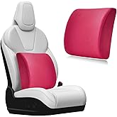 Gasedin Lumbar Support Pillow, Memory Foam Back Support Cushion, Lumbar Pillow Improving Sitting Posture & Back Pain Relief Suitable for Car, Office Chair, Car Accessories (Rose Red)