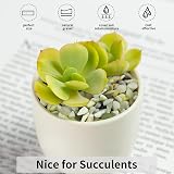 FANTIAN Jade Pea Gravel 2 lbs 6-9 mm Plant Pot Decor Garden Vase Fillers view 3