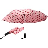 Nollia Compact Travel Umbrella with Auto Open &ndash; Windproof Folding Umbrella, Lightweight &amp; Portable for Rain
