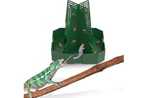 Fischuel Chameleon Feeding Bowl for Reptile Terrarium, Climbable Design for Reptile to Hunt, Suitable for Feeding Lizards, Bearded Dragons, Geckos, Guardians, Frogs, Green, Small