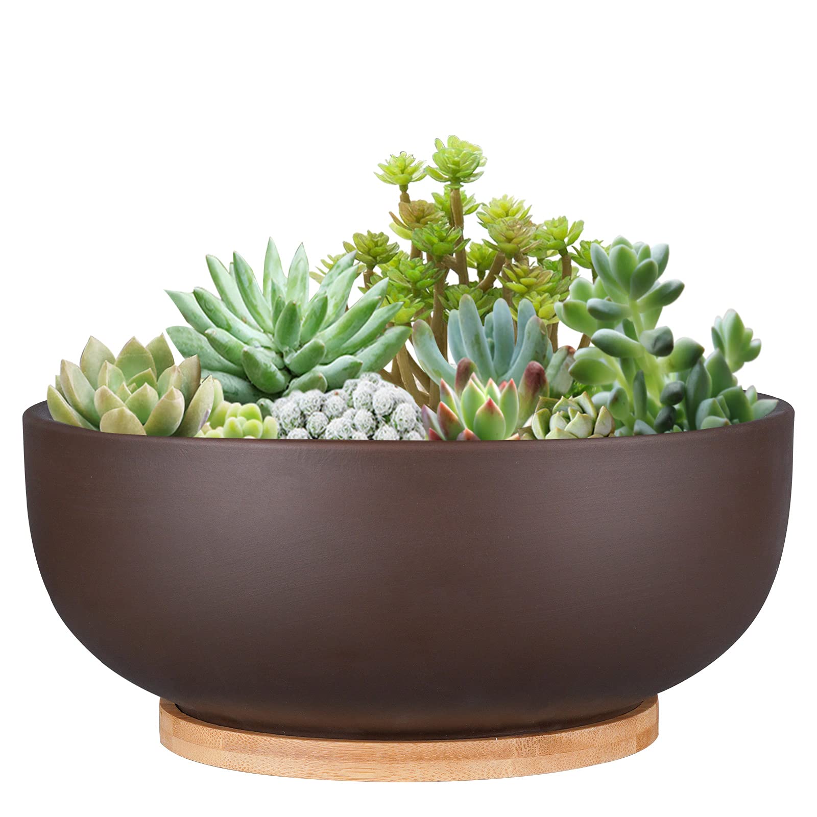 Photo 1 of Thirtypot 10 Inch Terracotta Planter, Large Succulent Bonsai Planter Pot with Drainage Hole and Bamboo Saucer for Indoor Plants, Brown