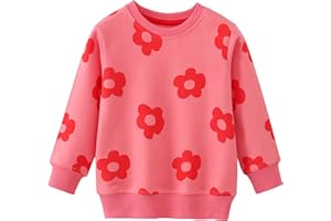 AIWUHE Toddler Sweatshirt Boys Girls Crewneck Pullover Tops Blouse Long Sleeve Cotton T-Shirt Fall Winter Clothes 2-6Y