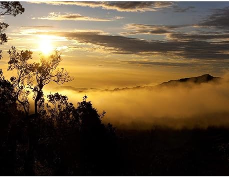 Fototapete Sonnenuntergang Vlies Wand Tapete Wohnzimmer Schlafzimmer Buro Flur Dekoration Wandbilder Xxl Moderne Wanddeko 100 Made In Germany Landschaft Natur Berge Runa Tapeten 9032010b Amazon De Baumarkt