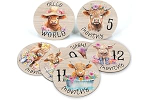 PAMBO Highland Cow Baby Month Milestone Circles, Wooden Discs Stuff for Baby Photo Takens with Hello World Name Signs - 7Pcs Double Sided Signs for Documenting Growth