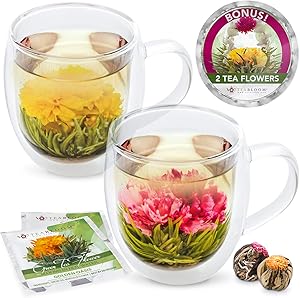 Teabloom Extra-Large (18oz / 550ml) Insulated Double Wall Glass Mugs & Blooming Tea Flowers (Set of 2 Mugs + 2 Flowering Teas) - Twin Harmony Flowering Tea Gift Set