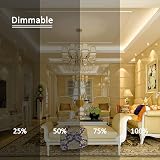 Caldarax 12 Pack G9 Halogen Bulbs 28W 2700K Dimmable 230V 320LM view 3