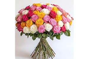 GlobalRose 100 Assorted Roses Bouquet - Responsibly Sourced Roses Fresh Flowers - Hand-Picked Flowers Fresh Bouquet for Mother's Day, Birthday & Special Occasions (4 Bunches of 25 Stems)