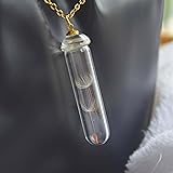 Löwenzahn Samen Machen Einen Wunsch Echte Blume Transparent Pilz Glas Flasche 18K Vergoldet Lange Halskette 65cm Kette
