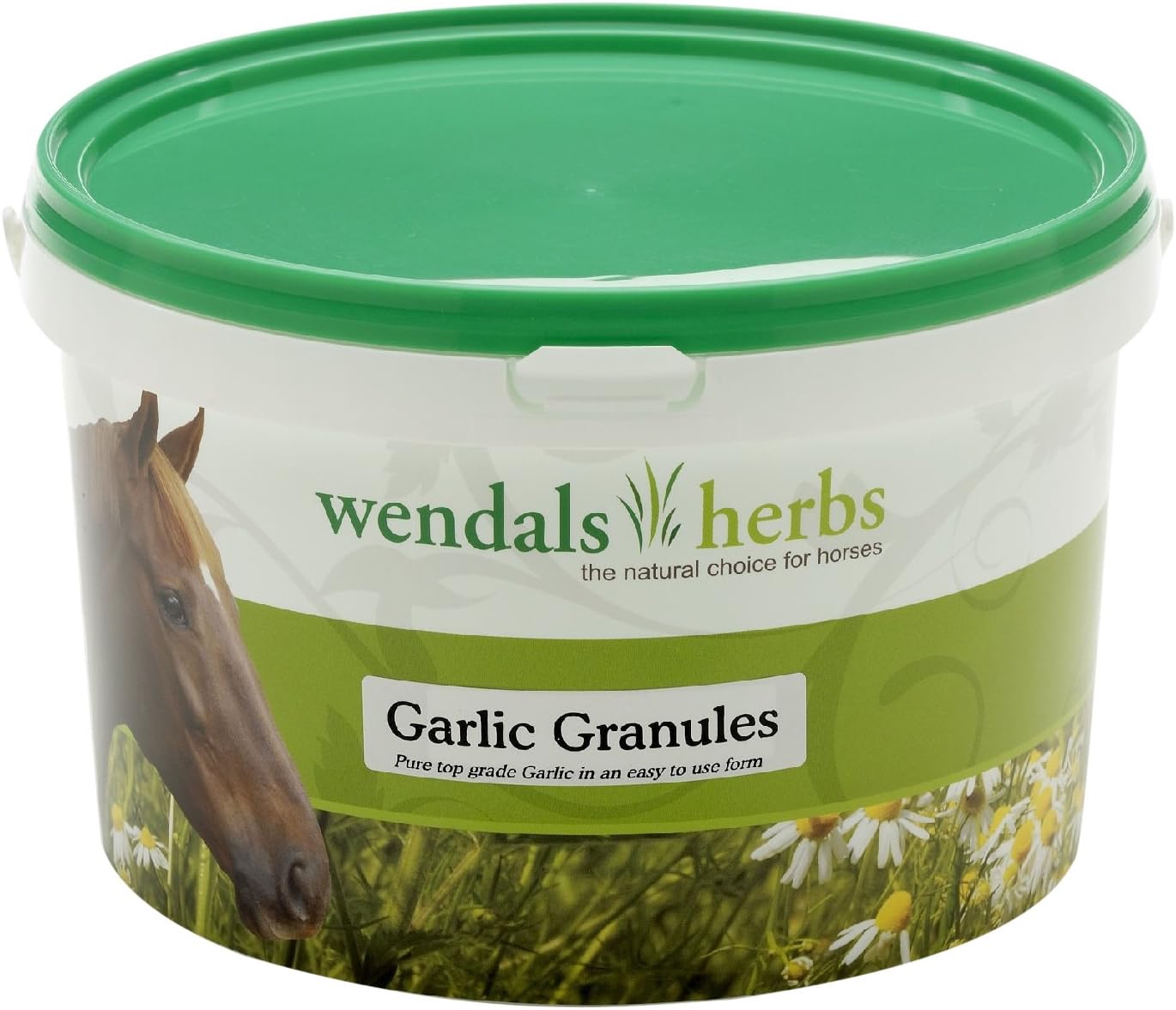 Wendals Garlic Granules - 1kg