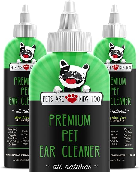 dog itching ear and shaking head