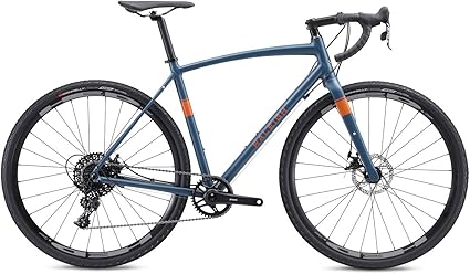 raleigh willard 3 for sale