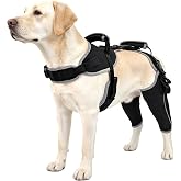 LISPOO Dog Knee Brace for ACL Tears and Patella Support,L Size-Both Leg | Adjustable Leg Support and Sufficient Breathability,Injury Recovery and Balance Assistance