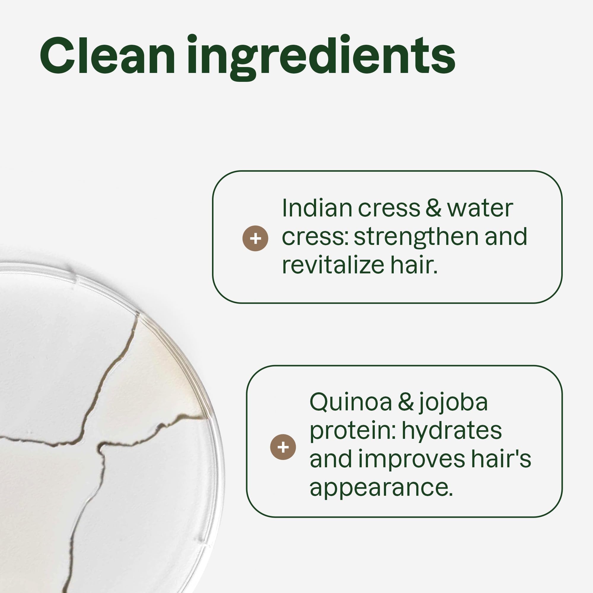 ATTITUDE Hydrating Conditioner, Peppermint & Sweet Orange, with Essential Oils, Vegan & Plant-Based, Aluminum Bottle, For Dry and Damaged Hair, 16 Fl Oz